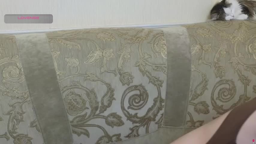 gertanord Adult Chat December 14, 2025