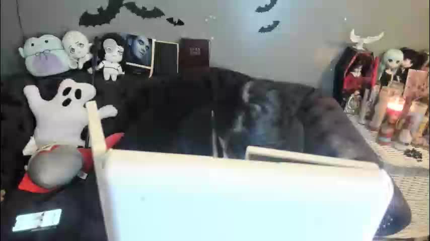 sugary_sweet Adult Chat December 14, 2025