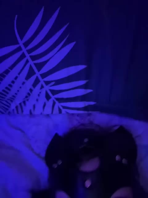 SashaXXXtasy Adult Chat December 14, 2025