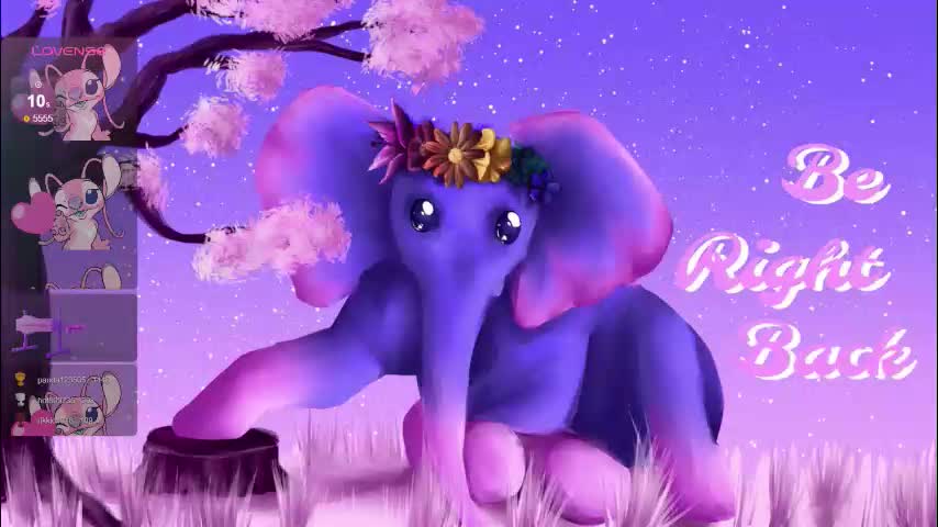 mollymurrrr Adult Chat December 14, 2025