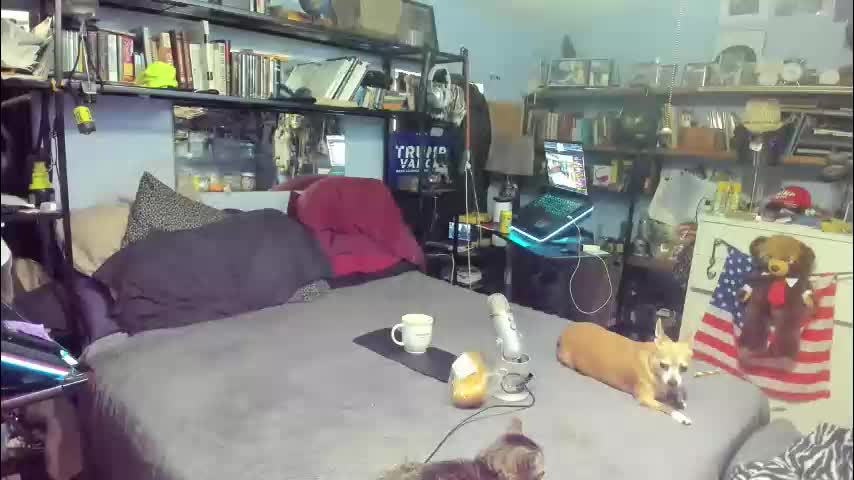 pink_black Adult Chat December 14, 2025