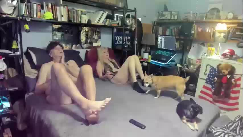 pink_black Adult Chat December 14, 2025