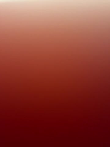 RinaCat Adult Chat December 14, 2025