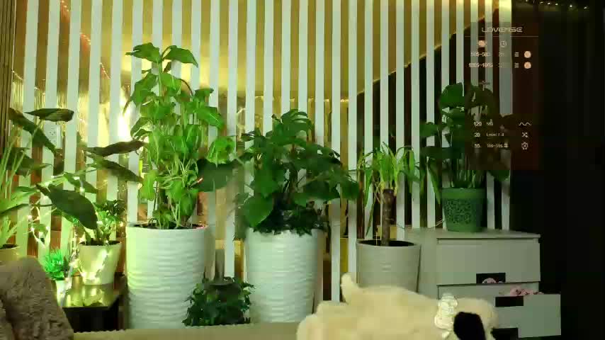 FlowwwerGirl Adult Chat December 14, 2025