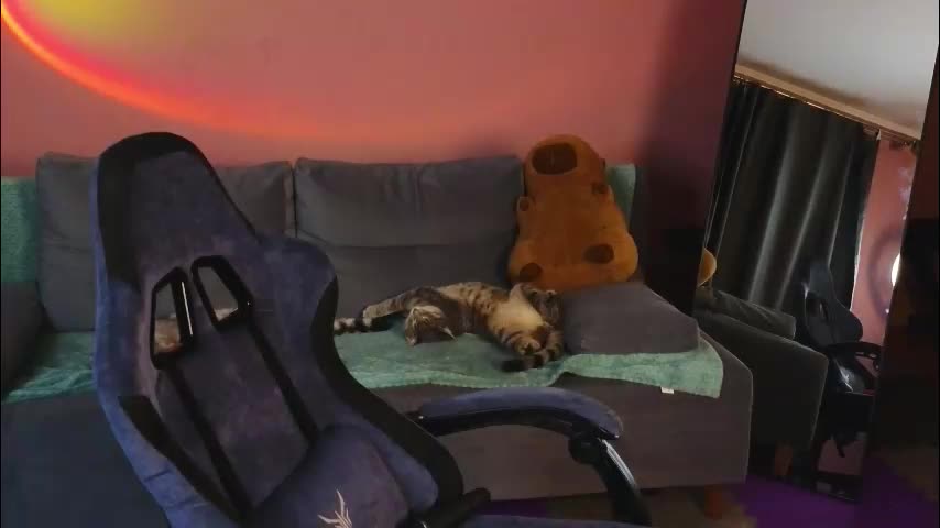 _capybara0_0 Adult Chat December 14, 2025