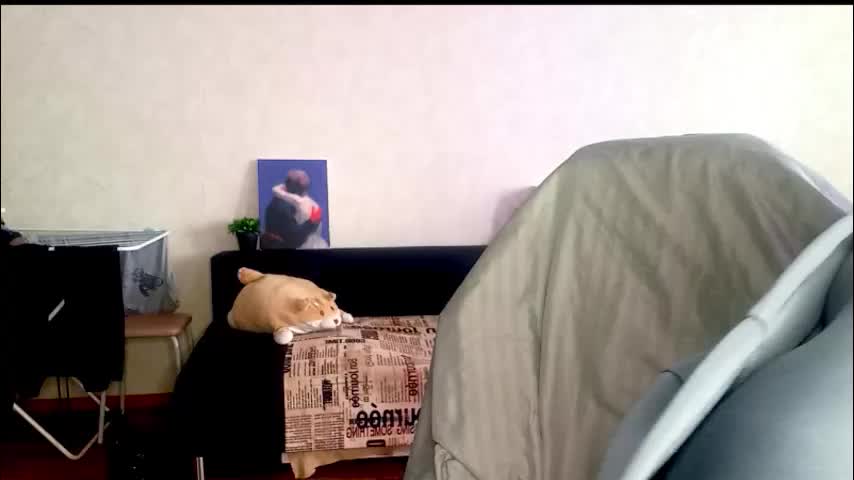 sonya_mikki Adult Chat December 14, 2025