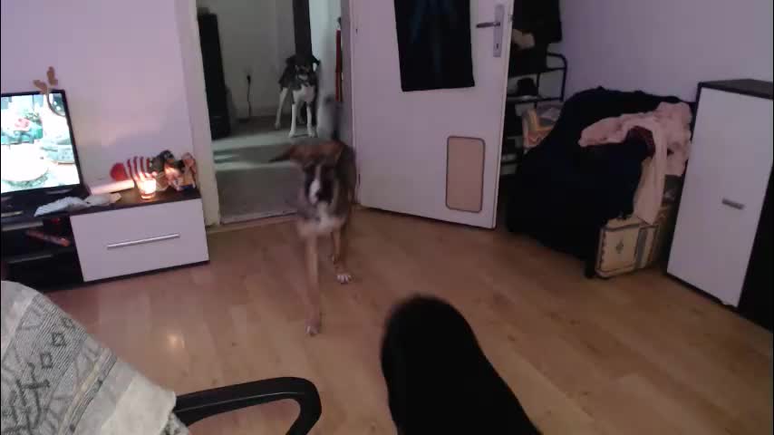 aliens4twenty Adult Chat December 14, 2025