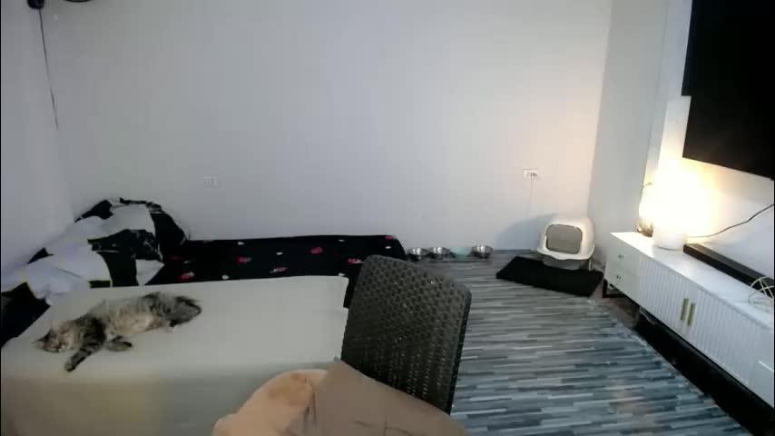 yourfantasyyy_ Adult Chat December 14, 2025