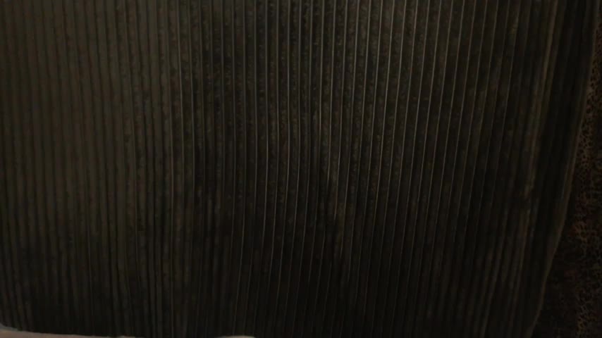 1BECHA1 Adult Chat December 15, 2025