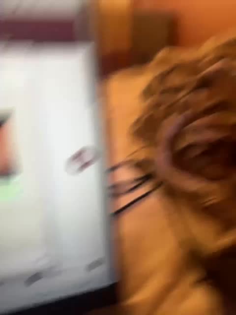 BadDoll Adult Chat December 15, 2025