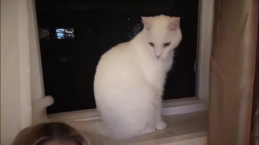 _chelsea___ Adult Chat December 15, 2025