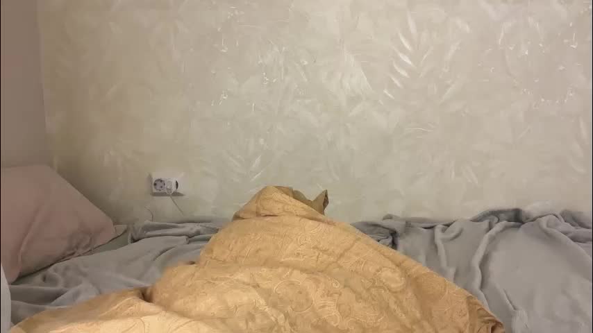 fflloowweerr Adult Chat December 15, 2025