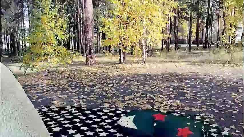 siberiataiga Adult Chat December 15, 2025