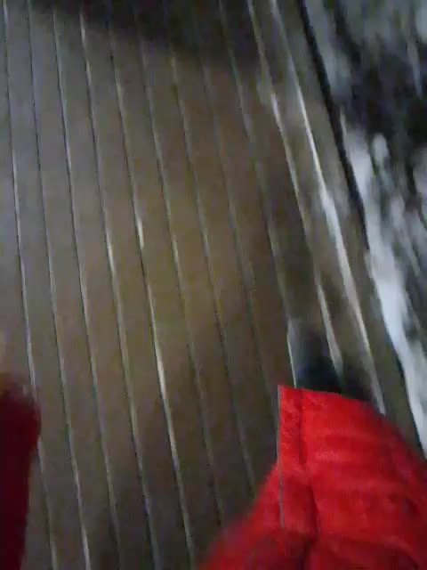 EVIL_TITS Adult Chat December 16, 2025