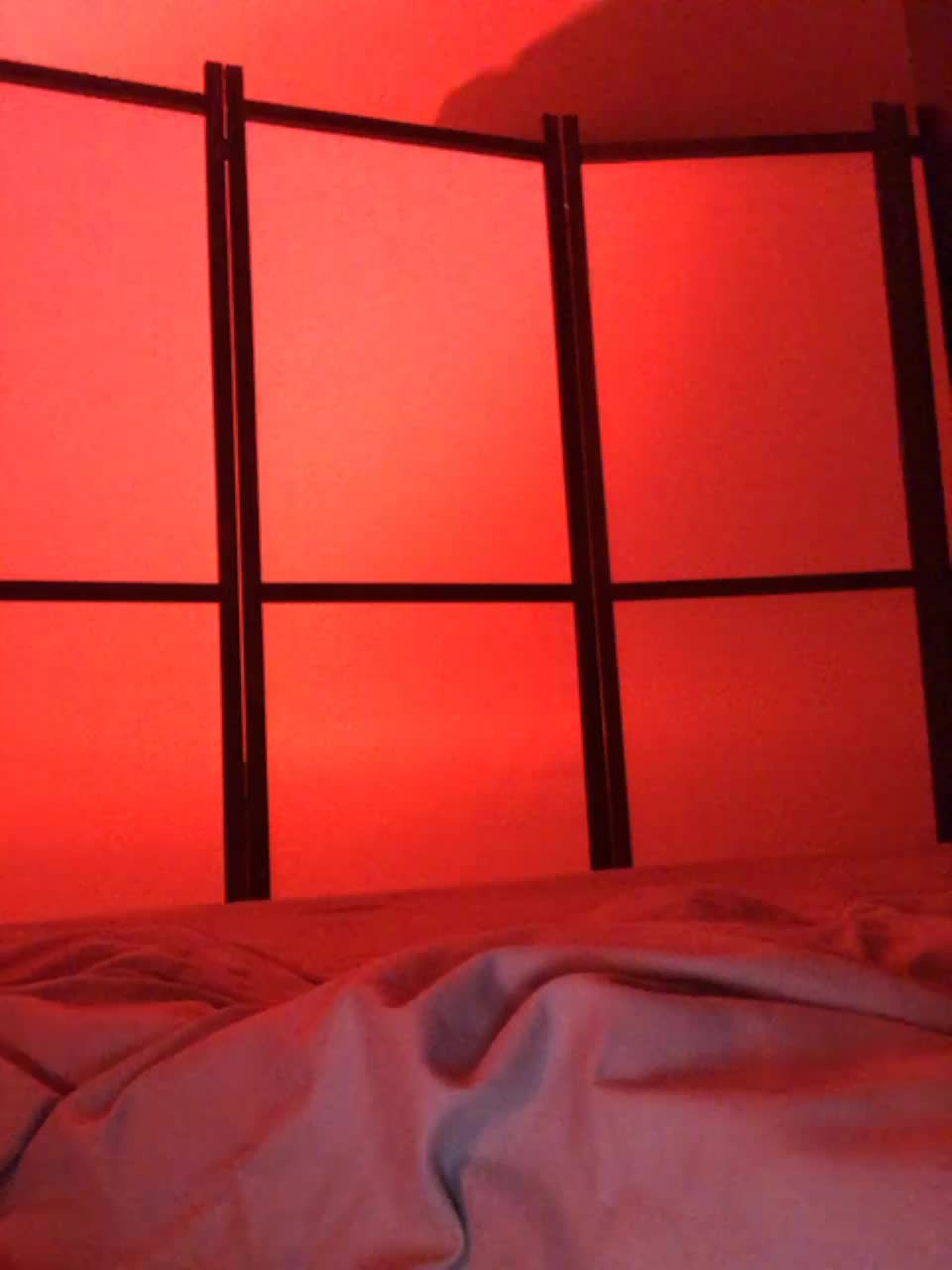 Koshka_Kivi Adult Chat December 16, 2025