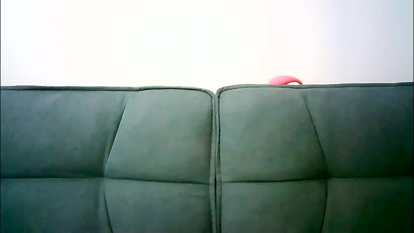 amelia___luna7 Adult Chat December 16, 2025