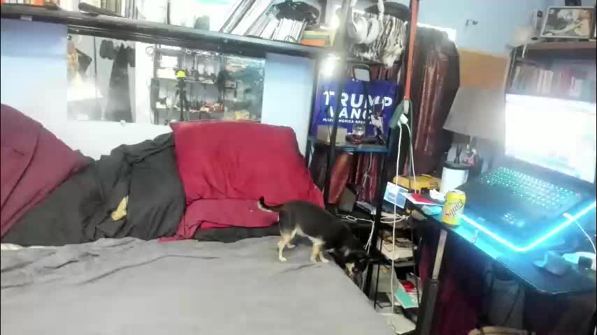 pink_black Adult Chat December 16, 2025