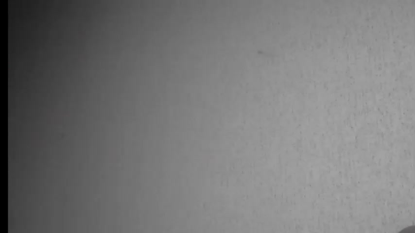 Gospozha-888 Adult Chat December 16, 2025