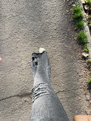 Flossy_Vettie Adult Chat December 16, 2025