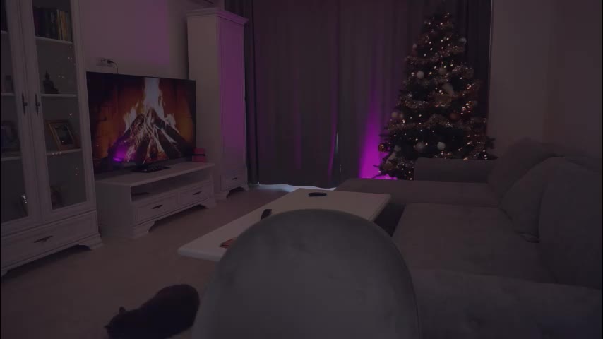 missmerciless Adult Chat December 16, 2025