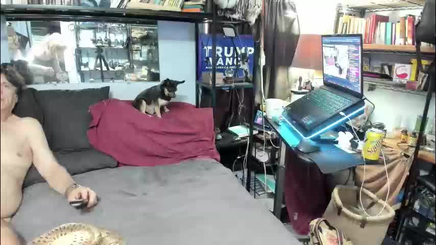 pink_black Adult Chat December 17, 2025