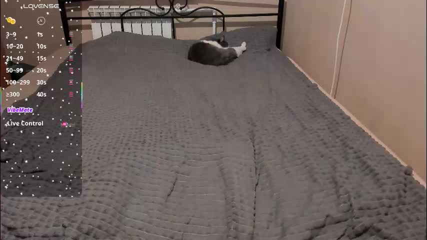 eva_zero Adult Chat December 17, 2025