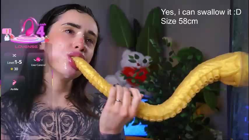 evarabbit Adult Chat December 17, 2025