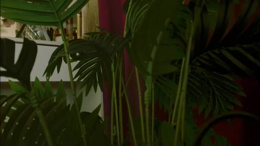 imcarrieberry Adult Chat December 17, 2025