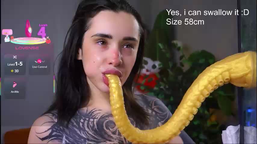 evarabbit Adult Chat December 17, 2025