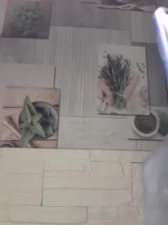 Anesteishen Adult Chat December 17, 2025