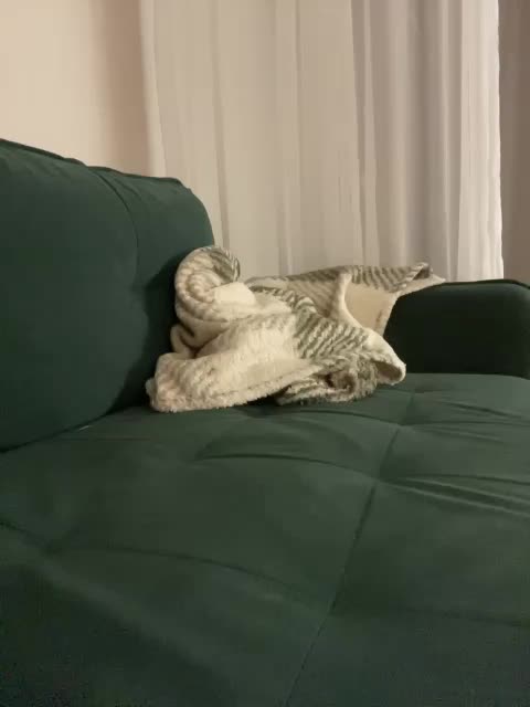 v_-_-_v Adult Chat December 17, 2025