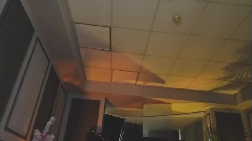 misskiarra Adult Chat December 17, 2025