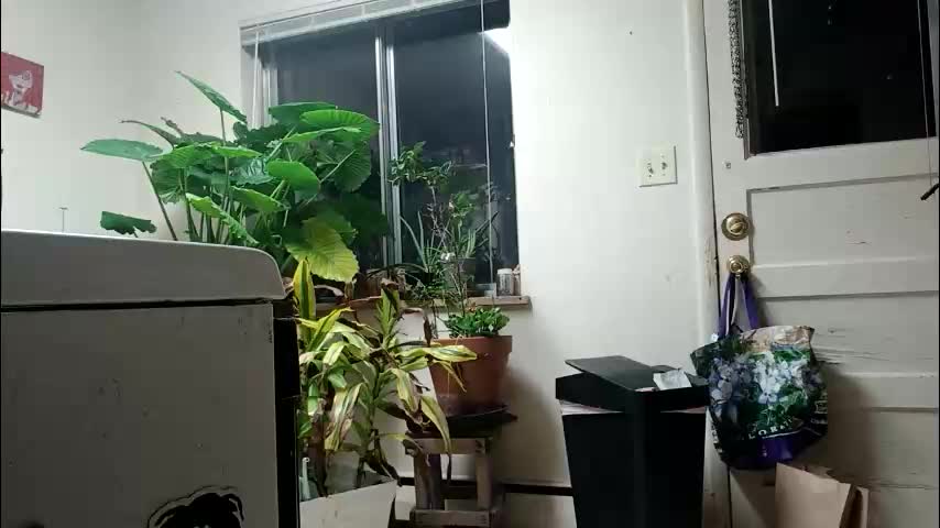 lacybell Adult Chat December 18, 2025