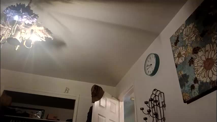 lacybell Adult Chat December 18, 2025