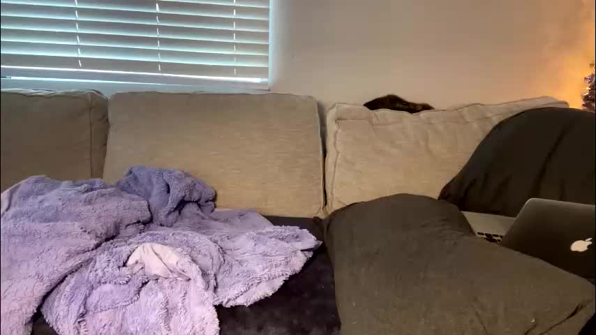 goddessmayvn Adult Chat December 18, 2025