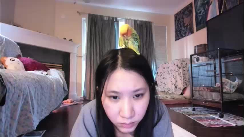 alizezaide Adult Chat December 18, 2025