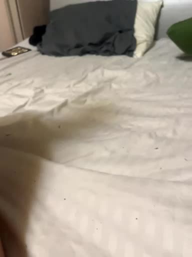 Lovepopi0201 Adult Chat December 18, 2025