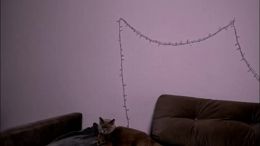 ladytrep Adult Chat December 18, 2025