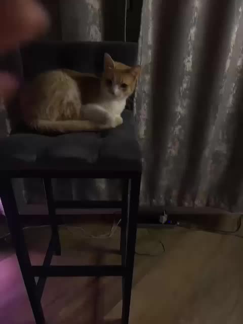 MilashaNyasha Adult Chat December 18, 2025