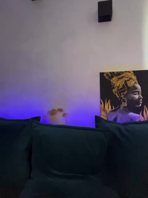 WILDGIRL Adult Chat December 18, 2025