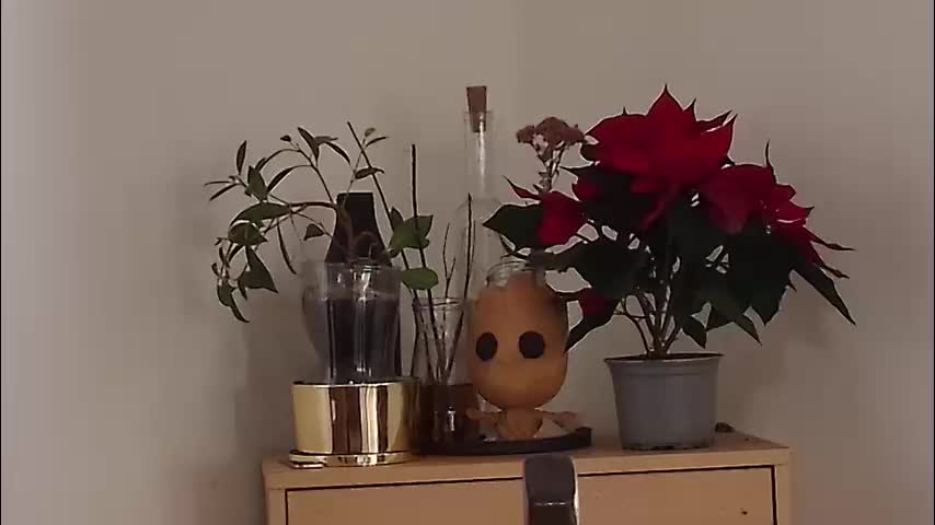 m1agarand Adult Chat December 18, 2025