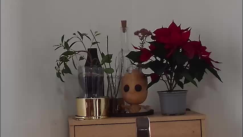 m1agarand Adult Chat December 18, 2025