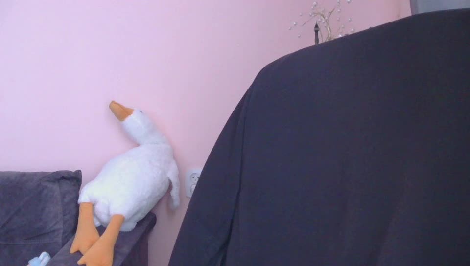 Ornotores_wers Adult Chat December 18, 2025