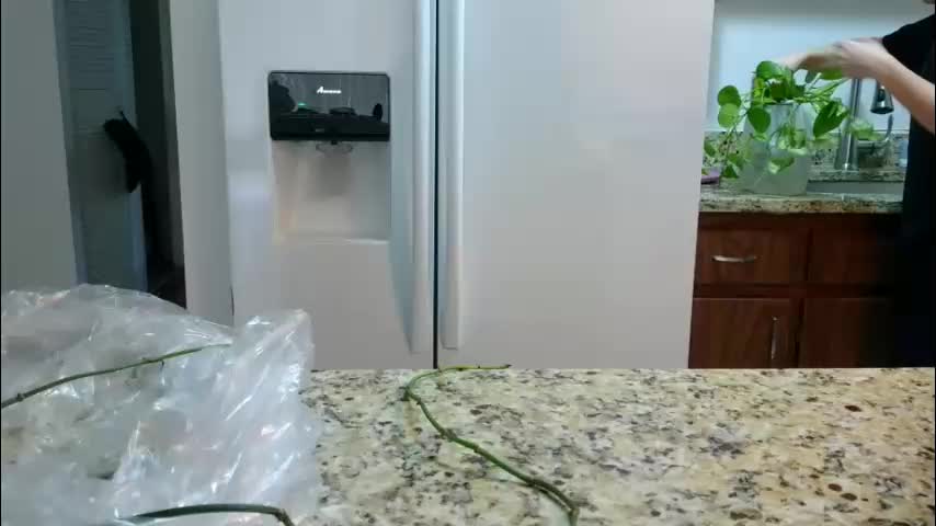 kate4unow Adult Chat December 19, 2025