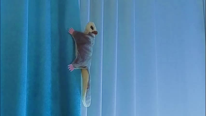 jolyndeb Adult Chat December 19, 2025