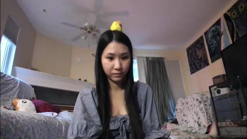 alizezaide Adult Chat December 19, 2025