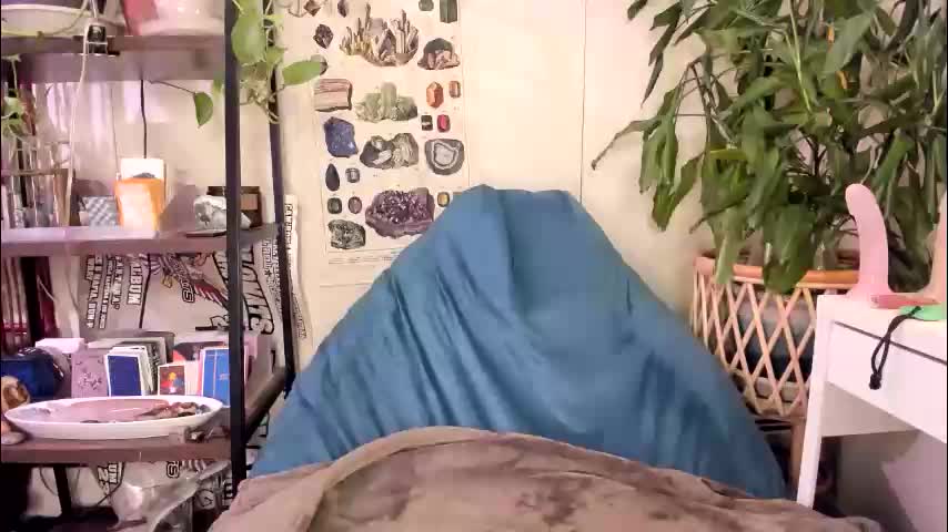 pluto_astrology Adult Chat December 19, 2025