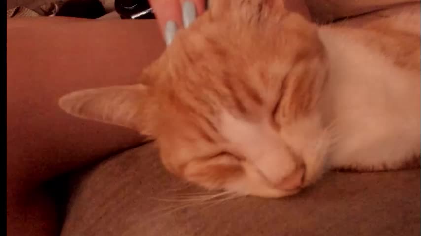 palmer_haze Adult Chat December 19, 2025