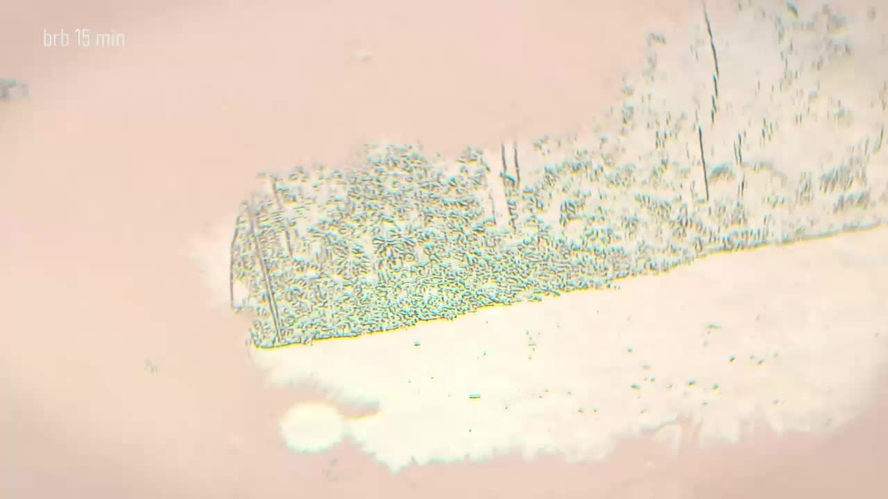 Taanni Adult Chat December 19, 2025