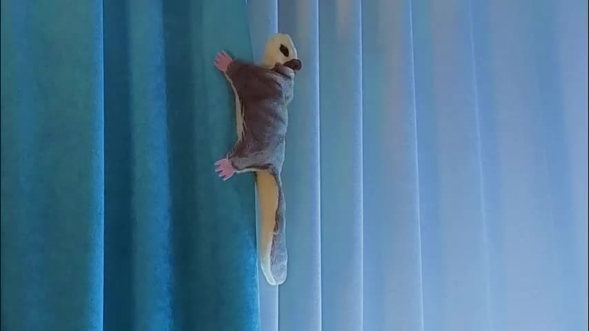 jolyndeb Adult Chat December 19, 2025